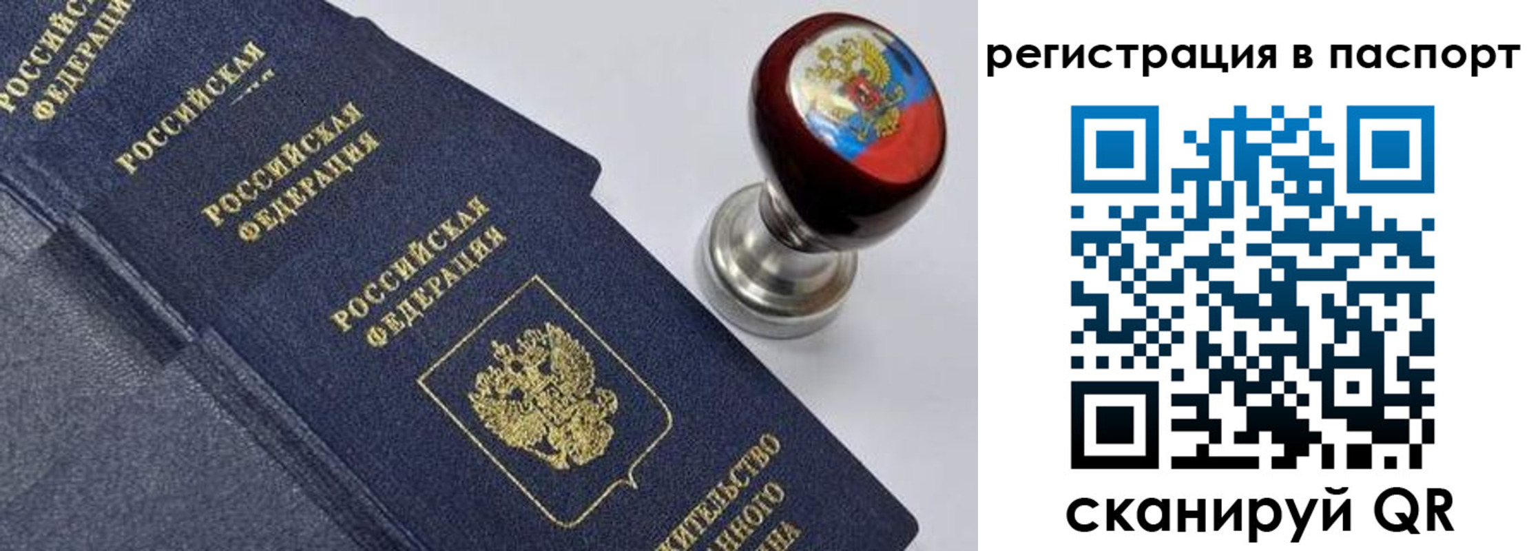 прописка поиск в Кохме